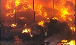 रुई के गोदाम में लगी आग से धधका खालापार-दमकल ने पाया काबू रुई के गोदाम में लगी आग से धधका खालापार-दमकल ने पाया काबू