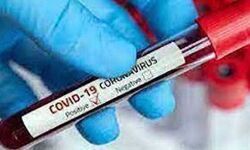 कोरोना वायरस के 52 नये मामले, दो की मौत कोरोना वायरस के 52 नये मामले, दो की मौत