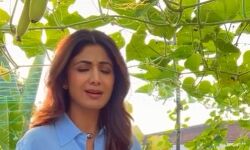 एक्ट्रेस बोली बड़े प्यार से, बड़े प्यार से- फैंस बोला वाह जी वाह बहुत बढ़िया एक्ट्रेस बोली बड़े प्यार से, बड़े प्यार से- फैंस बोला वाह जी वाह बहुत बढ़िया