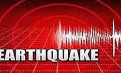 महसूस किये गये भूकंप के झटके