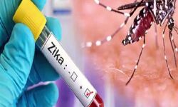 जीका वायरस के 30 नए मरीज जीका वायरस के 30 नए मरीज