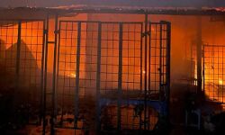 फल मंडी में लगी आग में दर्जनों दुकानें हुई जलकर राख फल मंडी में लगी आग में दर्जनों दुकानें हुई जलकर राख