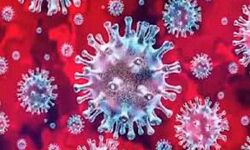 एक बार फिर कोरोना के नये मामले एक बार फिर कोरोना के नये मामले