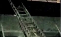 शॉपिंग मॉल में लगी आग, फायरकर्मियों ने लगा दी जान की बाजी शॉपिंग मॉल में लगी आग, फायरकर्मियों ने लगा दी जान की बाजी