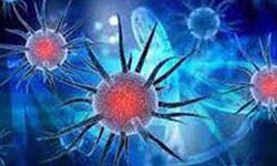 कोरोना के 47 नये मामले दो की मौत कोरोना के 47 नये मामले दो की मौत