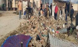 कालाबाजारी कर रहे खाद विक्रेता का लाइसेंस सस्पैंड-3 को नोटिस कालाबाजारी कर रहे खाद विक्रेता का लाइसेंस सस्पैंड-3 को नोटिस