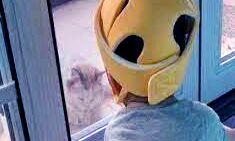 लोग अपने घर में भी बच्चों को पहना रहे हैं हेलमेट- पीछे हैं यह विशेष वजह लोग अपने घर में भी बच्चों को पहना रहे हैं हेलमेट- पीछे हैं यह विशेष वजह