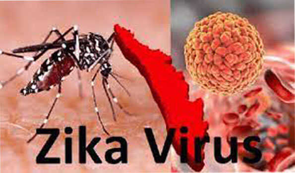 दो मरीजों में जीका वायरस के संक्रमण की पुष्टि