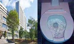 हॉस्पिटल में लोग पी रहे थे टॉयलेट का पानी- अब खुली पोल हॉस्पिटल में लोग पी रहे थे टॉयलेट का पानी- अब खुली पोल