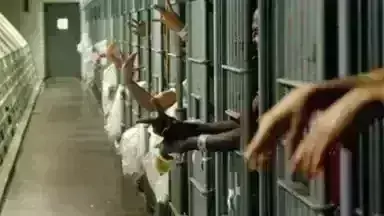 जेल में हुई झड़पों में 58 कैदियों की मौत जेल में हुई झड़पों में 58 कैदियों की मौत