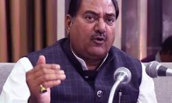 BJP को हराने के लिए चौटाला कांग्रेस का भी प्रचार करने को तैयार BJP को हराने के लिए चौटाला कांग्रेस का भी प्रचार करने को तैयार