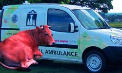 उत्तर प्रदेश सरकार शुरू कर रही है गायों के लिए त्वरित एंबुलेंस सेवा उत्तर प्रदेश सरकार शुरू कर रही है गायों के लिए त्वरित एंबुलेंस सेवा