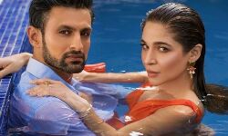 सानिया मिर्जा के पति की आयशा संग हॉट तस्वीरें वायरल-बोला यूजर शादी पक्की सानिया मिर्जा के पति की आयशा संग हॉट तस्वीरें वायरल-बोला यूजर शादी पक्की