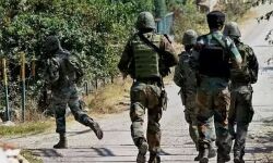 ग्रेनेड हमले में दो CRPF जवान सहित कई घायल ग्रेनेड हमले में दो CRPF जवान सहित कई घायल