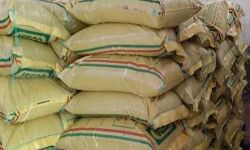 करोड़ों का खाद घोटाला कर पीसीएफ गोदाम पर प्रभारी फरार करोड़ों का खाद घोटाला कर पीसीएफ गोदाम पर प्रभारी फरार