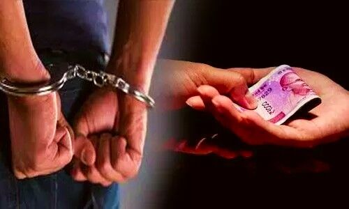 पटवारी पांच हजार रुपए की रिश्वत लेते गिरफ्तार