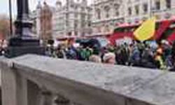 पुलिस ने 30 पर्यावरण कार्यकर्ताओं को किया गिरफ्तार पुलिस ने 30 पर्यावरण कार्यकर्ताओं को किया गिरफ्तार