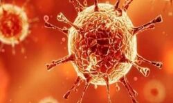 अब जवाहर नवोदय विद्यालय में फूटा कोरोना बम -2 हफ्ते के लिए कक्षाएं बंद