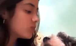 अभिनेत्री ने किया वीडियो शेयर- फैन बोला दोनो एक जैसे दिख रहे हो