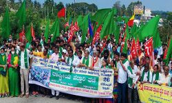 दिल्ली की सीमा पर इकट्ठे हुए किसान- टिकैत ने बनाई यह योजना दिल्ली की सीमा पर इकट्ठे हुए किसान- टिकैत ने बनाई यह योजना