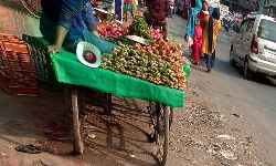 जानलेवा बन रहे प्रदूषण को रोकने के लिये कोई नहीं तैयार जानलेवा बन रहे प्रदूषण को रोकने के लिये कोई नहीं तैयार