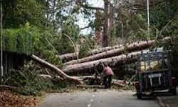 अर्वेन तूफान से तीन लोगों की मौत अर्वेन तूफान से तीन लोगों की मौत