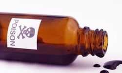 एक साथ कई लाशे मिलने से मचा हड़कंप एक साथ कई लाशे मिलने से मचा हड़कंप