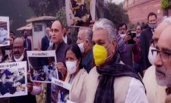 निलंबन के विरोध में धरना दे रहे सांसदों के खिलाफ सड़क पर उतरी BJP