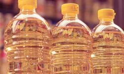 सोयाबीन रिफाइंड, पाम तेल में नरमी सोयाबीन रिफाइंड, पाम तेल में नरमी