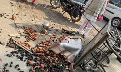 बेलगाम ट्रैक्टर ने कई ठेलियां एवं स्कॉर्पियो की धराशाई-मची भगदड