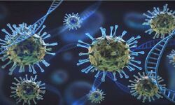 मार्च तक इस देश में मिल सकते है ओमिक्रोन के 14 करोड़ मामले मार्च तक इस देश में मिल सकते है ओमिक्रोन के 14 करोड़ मामले