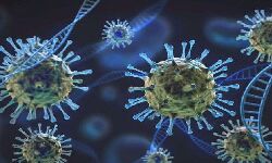 ओमिक्रॉन से बचाव के लिए इस राज्य ने उठाया ये बड़ा कदम ओमिक्रॉन से बचाव के लिए इस राज्य ने उठाया ये बड़ा कदम