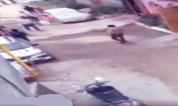 BJP MLA संगीत सोम के गनर ने महिला पर की थप्पड़ों की बौछार