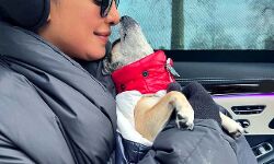 अभिनेत्री का फोटो वायरल- फैंस ने बरसाया जमकर प्यार