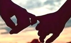 भीड़ के बीच कपल बनाने लगा अचानक सम्बंध- पुलिस ने किया अरेस्ट भीड़ के बीच कपल बनाने लगा अचानक सम्बंध- पुलिस ने किया अरेस्ट