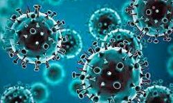 राजधानी में फिर मिला ओमिक्रॉन का मामला-बढ़ाई चौकसी राजधानी में फिर मिला ओमिक्रॉन का मामला-बढ़ाई चौकसी