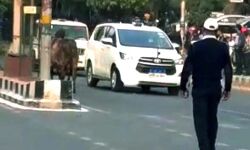 CM योगी की फ्लीट के सामने आया सांड- थमे काफिले के पहिए CM योगी की फ्लीट के सामने आया सांड- थमे काफिले के पहिए