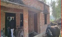 CDO की जांच में खुली पोल-कागजों में ही पूरे हो रहे हैं विकास के काम CDO की जांच में खुली पोल-कागजों में ही पूरे हो रहे हैं विकास के काम