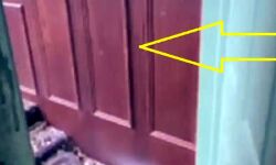 बाथरूम की दीवार की मरम्मत कर रहा था प्लंबर- मिले करीब 5 करोड़ रूपये बाथरूम की दीवार की मरम्मत कर रहा था प्लंबर- मिले करीब 5 करोड़ रूपये