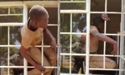 संकरी खिडकी से पार हुआ चोर- लोग हुए हैरान- देखें वीडियो संकरी खिडकी से पार हुआ चोर- लोग हुए हैरान- देखें वीडियो