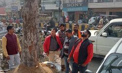 रात के अंधेरे में कट गया हरा भरा पीपल का पेड़-उखड़ गया शिवलिंग रात के अंधेरे में कट गया हरा भरा पीपल का पेड़-उखड़ गया शिवलिंग