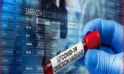 कोरोना का टीका नहीं लगवाने वालों की शुरू हुई पहचान-घर पर लगेगा ऐसा निशान कोरोना का टीका नहीं लगवाने वालों की शुरू हुई पहचान-घर पर लगेगा ऐसा निशान