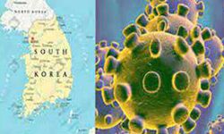 कोरोना वायरस के नए मामले