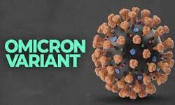 आमिक्रॉन का देश में दोहरा शतक-महाराष्ट्र एवं दिल्ली टॉप पर आमिक्रॉन का देश में दोहरा शतक-महाराष्ट्र एवं दिल्ली टॉप पर