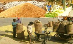 31 दिसंबर से पूर्व बकाया राशि जमा कराने वालों को मिलेगी छूट 31 दिसंबर से पूर्व बकाया राशि जमा कराने वालों को मिलेगी छूट