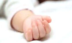 जिला अस्पताल से 4 दिन का नवजात चोरी