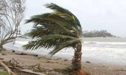 तूफान राई से मरने वालों की संख्या 300 के पार तूफान राई से मरने वालों की संख्या 300 के पार