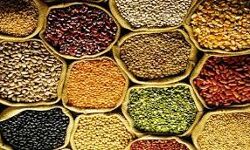 खाद्य तेलों में जबरदस्त गिरावट