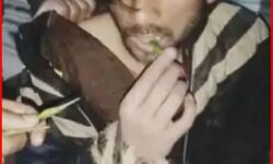 चाकू समेत पकड़े गए चोरों को हाथ पैर बांधकर खिलाई हरी मिर्च