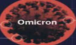 ओमीक्रॉन के दो नए मामले सामने आए ओमीक्रॉन के दो नए मामले सामने आए
